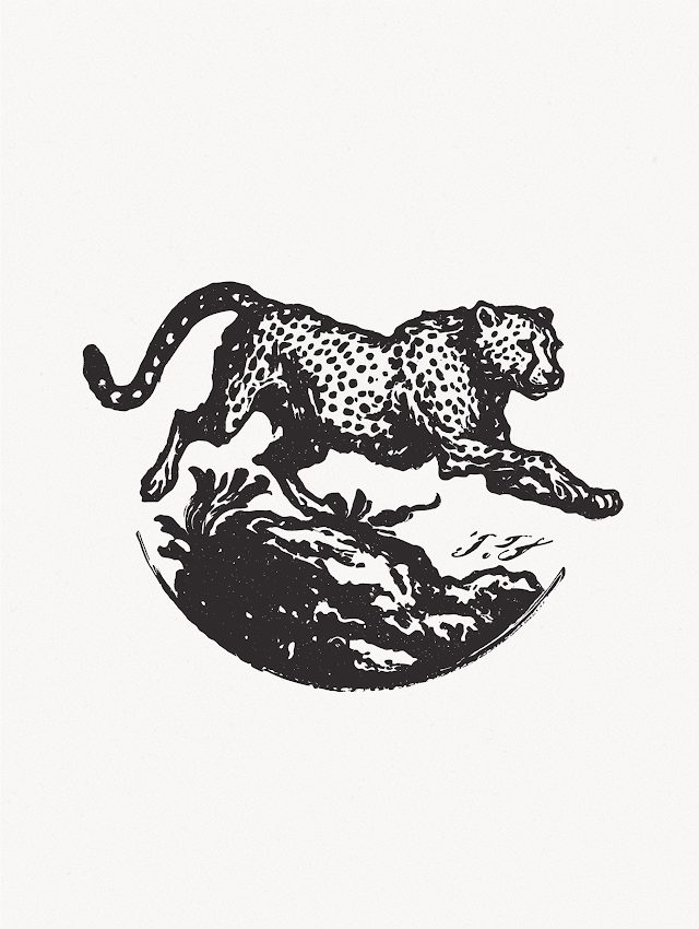 Vintage Leopard Illustration