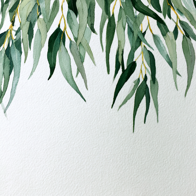 Watercolor Eucalyptus Leaves Cascade